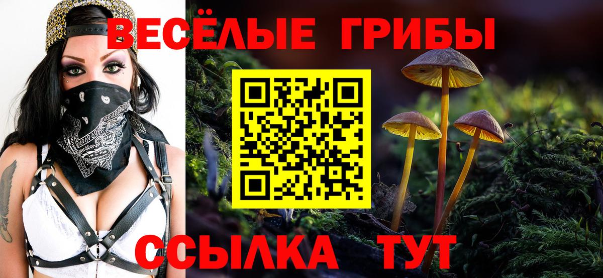 Псилоцибиновые грибы Magic Shrooms  Вход с VPN  Галлюциногенные грибы Psilocybine cubensis  Усть-Джегута 